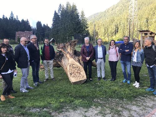 L'assessore a Risorse forestali e Montagna del Friuli Venezia Giulia, Stefano Zannier, con i relatori e promotori del Simposio sulle risorse forestali - Collina di Forni Avoltri (Ud), 21 settembre 2019.
